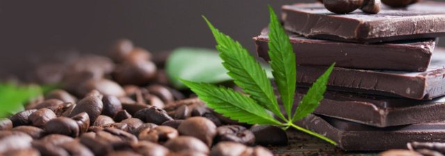 What Is CBD Chocolate? [We Answer All Your Questions]