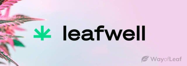 Leafwell Review: MMJ Doctor Approvals Made Easy